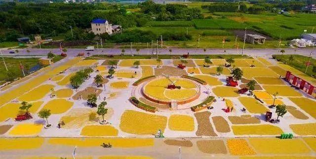 这个县城创造罚款收入下降“奇迹”ky开元棋牌政府大楼旁可以摆摊(图3)