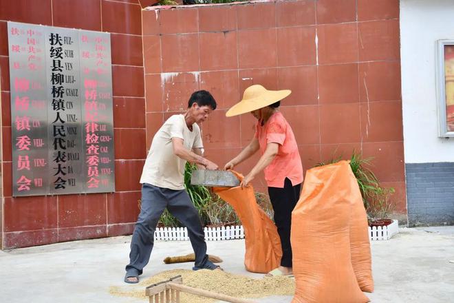 这个县城创造罚款收入下降“奇迹”ky开元棋牌政府大楼旁可以摆摊(图7)
